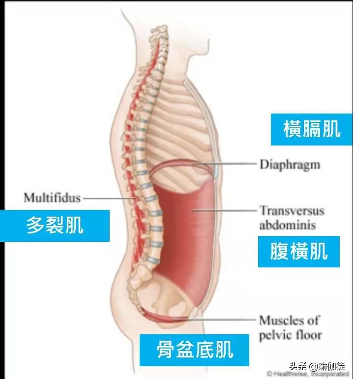 核心练不对伤身！关于核心训练的一个关键、三个误区、四个小建议