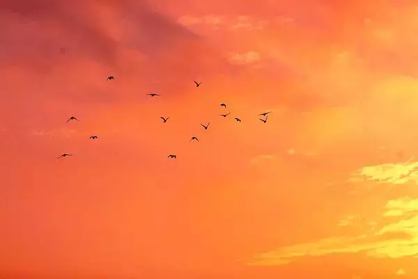 真正的朋友，始于志趣，合于性情，忠于人品