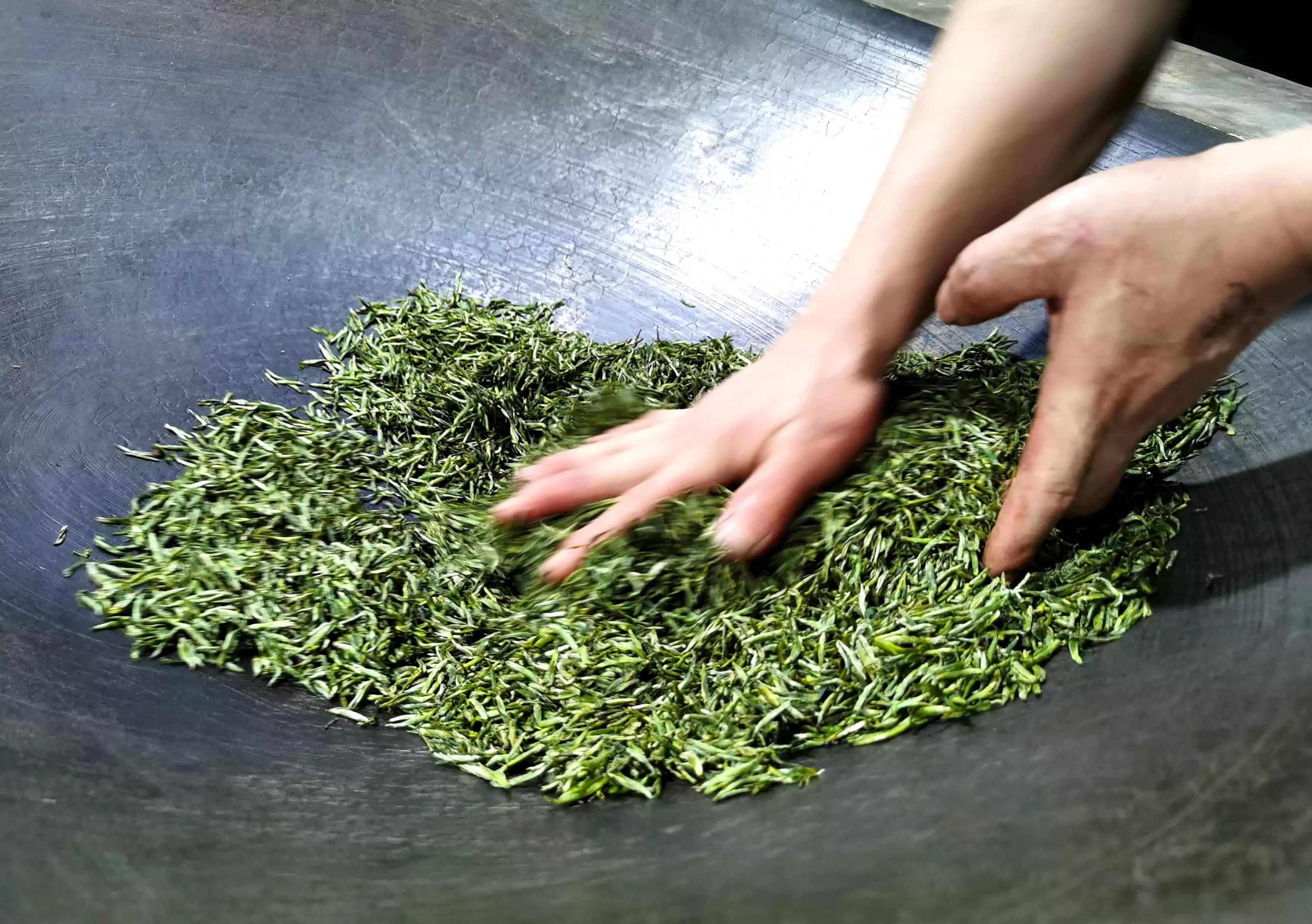 炒青绿茶的杀青方式使用滚筒或锅炒,我国大部分绿茶都是炒青绿茶,炒青