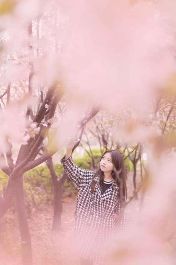 神仙颜值！惊艳众人！陕西高校“最美校花”高清大图曝光