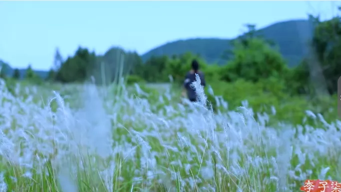 李子染院子全景(李子柒的小院，寄居着许多人的田园梦)