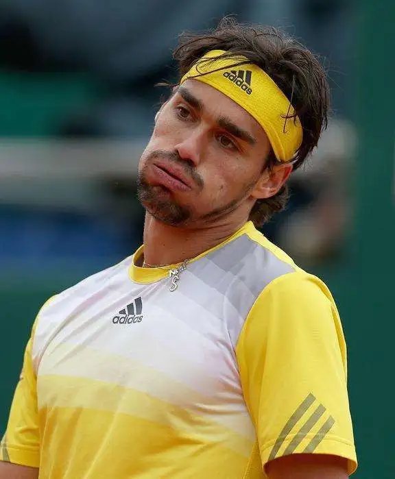 意大利男网球选手弗格尼尼(弗格尼尼33岁生日：网坛坏小子也在老去)