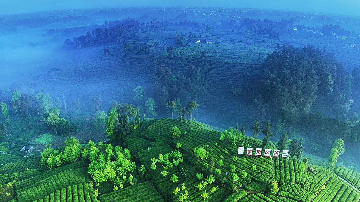 景区等级:aaaa景点地址:四川省雅安市名山县蒙阳镇蒙顶山位于四川省