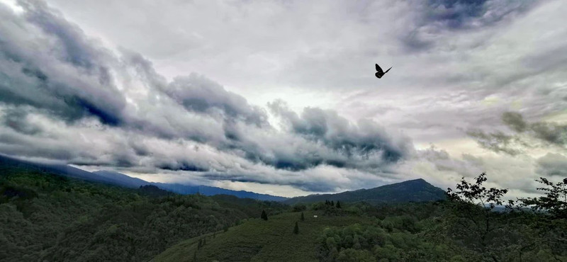 避暑计划：海子山避暑十二时辰