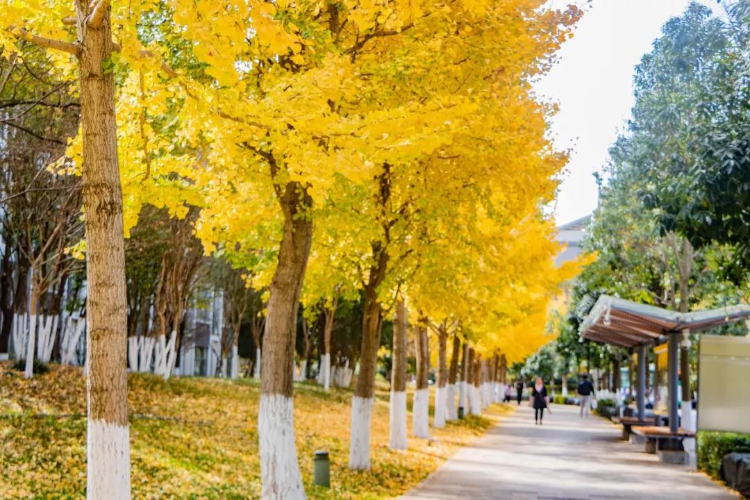 昆明最值得打卡的100个地方！你去过几个？