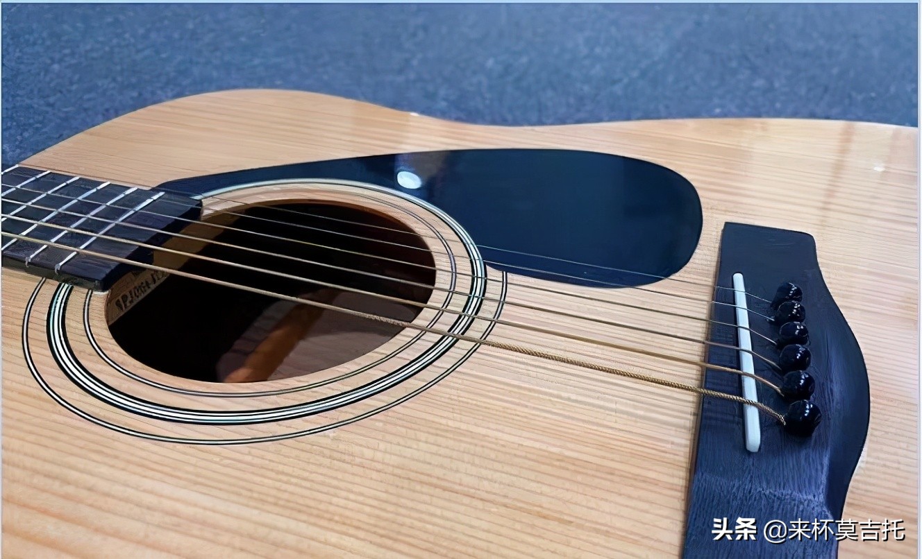 费森VZ200和雅马哈F310，哪款吉他更适合初学者？