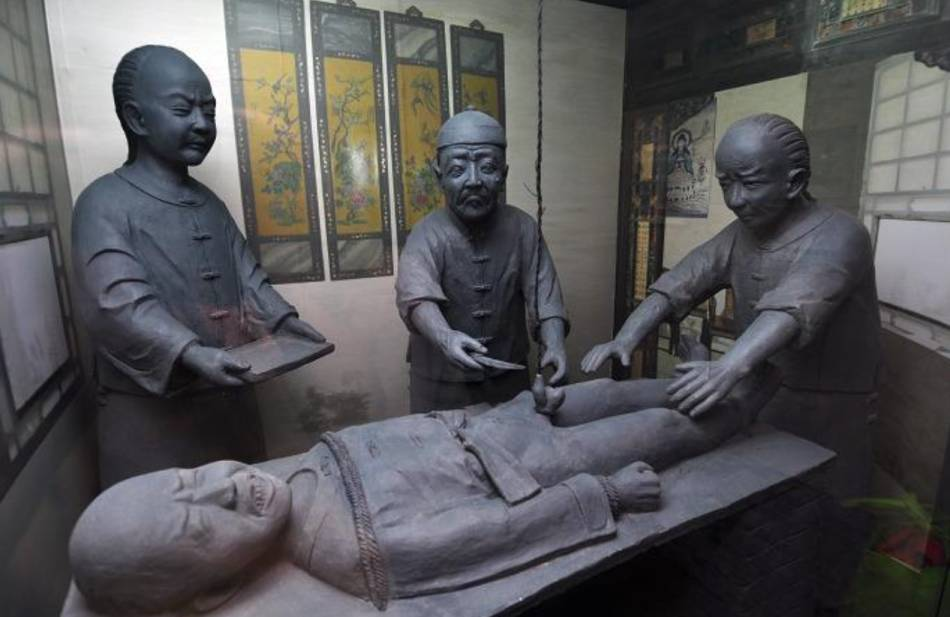 怎樣殺雞,怎樣殺雞又快又好