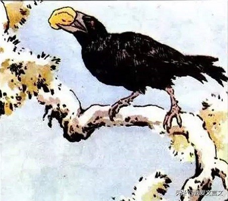 经典文言文赏析｜乌鸦喜谀
