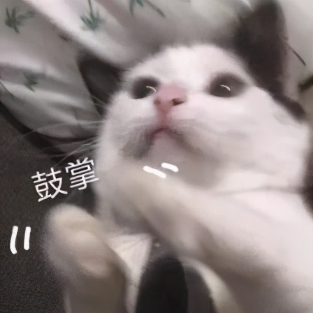 重磅！东莞这20所学校将全国出名