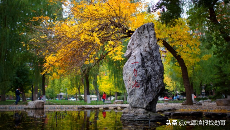 拥有9个A+学科，人文社科的顶尖院校，学霸都喜欢报考这些专业