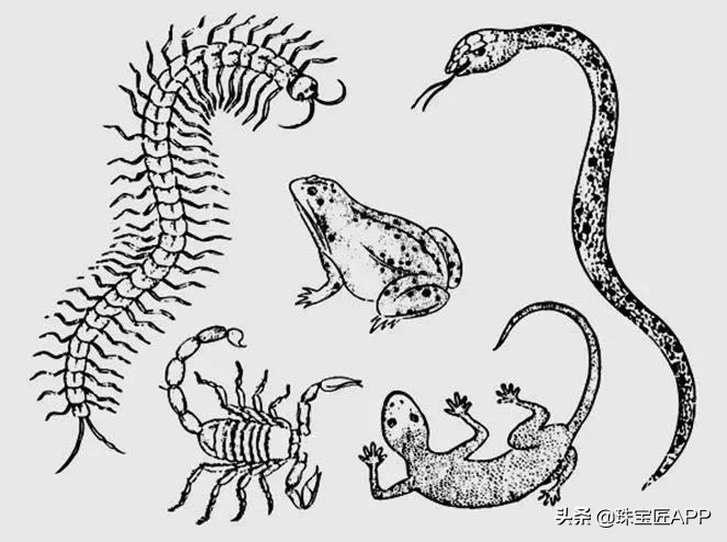 这6种看似恐怖的珠宝图案，竟暗含这些美好寓意