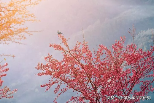 万物有灵，诡秘难测的术数，来自远古的高等数学