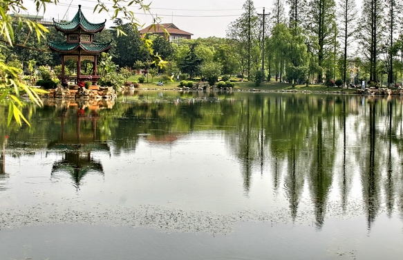 湖南农业大学2017-2018录取分数