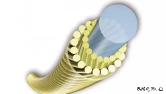 网球线的长度是多少（网球线选择教程 l 从各个角度选择适合自己网球线上篇）