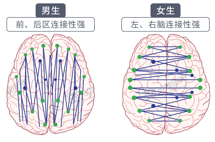 为什么男人会“好色”？科学解释：蛋蛋与大脑共享92%的蛋白质