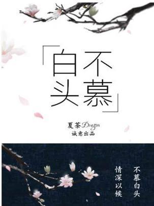 虐文盘点！【高质量口碑虐文经典小说】合集，触动你心中的共鸣！