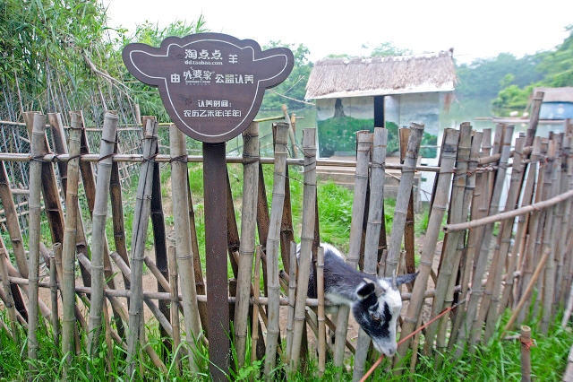 杭州旅游十大必去打卡景点