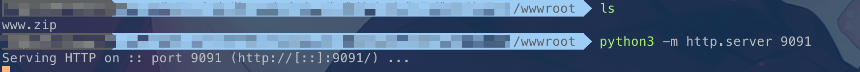 上帝视角：寻找网站源码