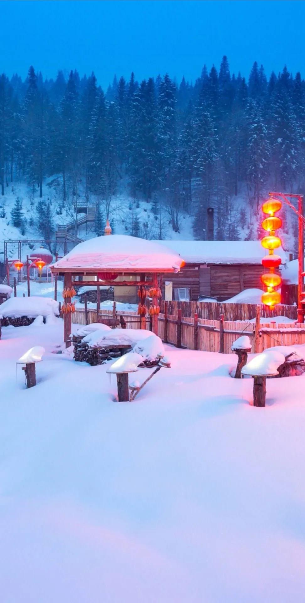 妈妈，我们总是把你藏在你的心里。