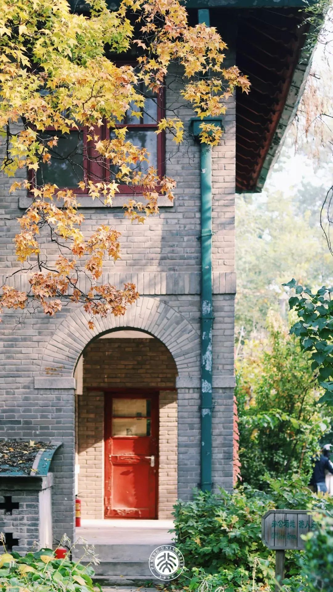 你的理想大学，终于被做成了手机壁纸