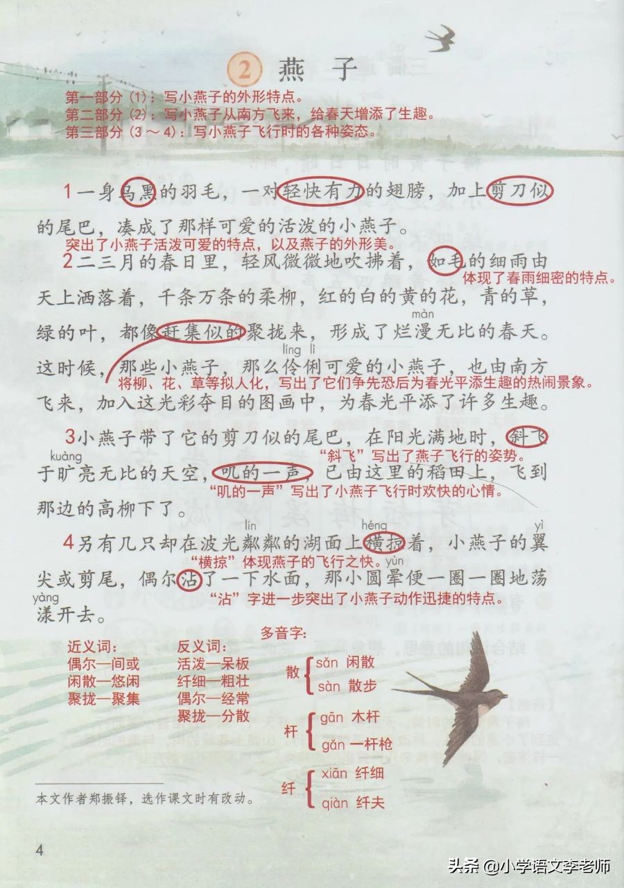 三年级语文下册《燕子》课文讲解,附带课堂笔记整理