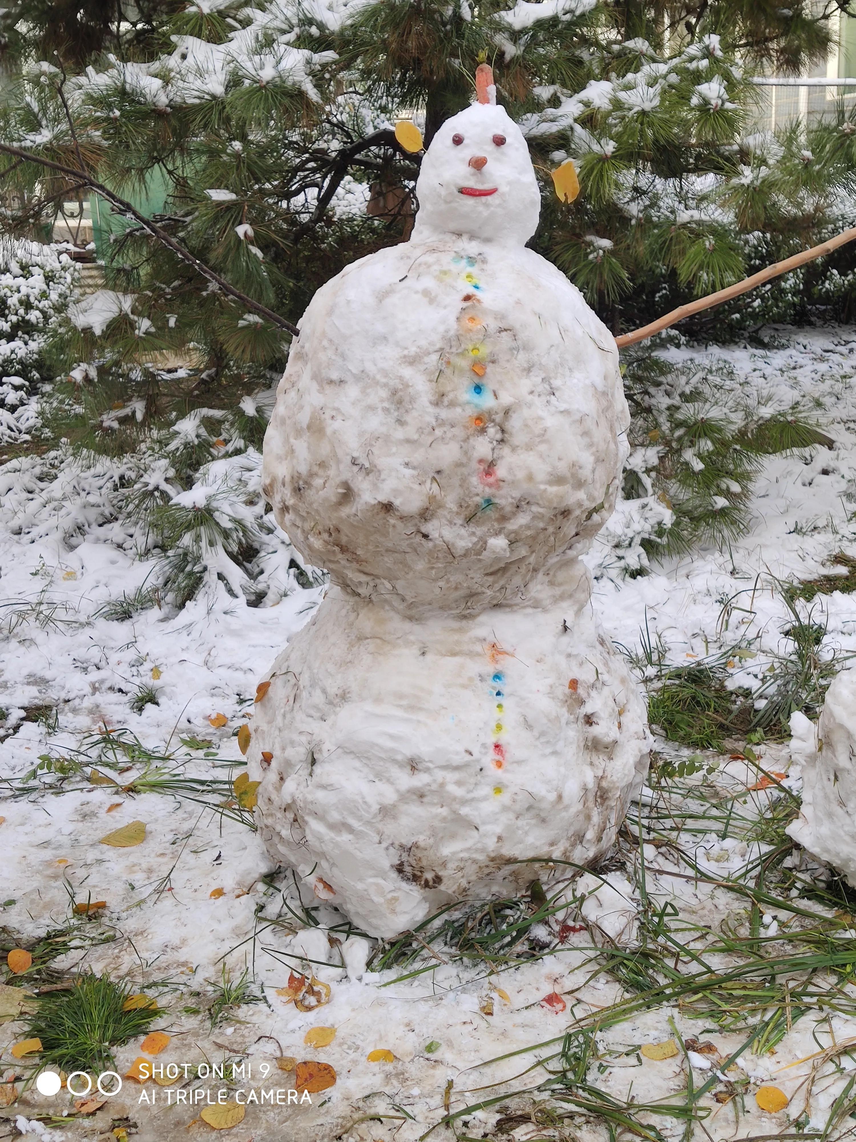 当立冬与初雪邂逅，当雪花和银杏叶相遇，冬韵之美尽在不言中