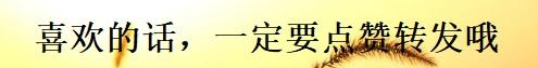 为什么坚持跑步，却还有大肚子？健身教练告诉你真正原因