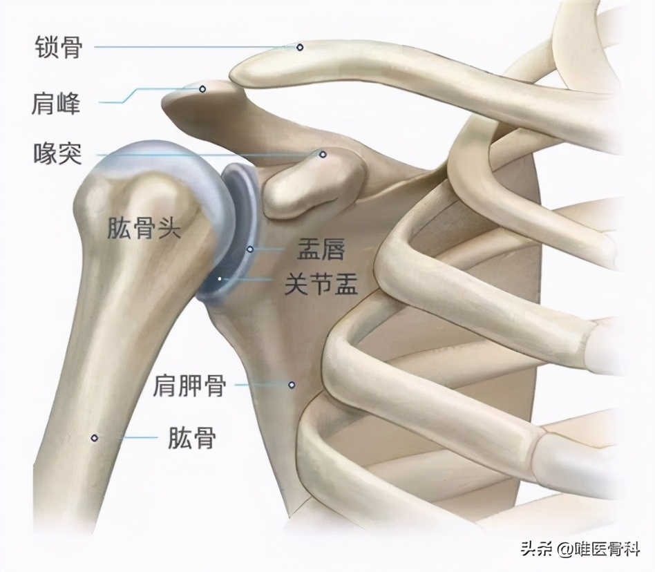 打篮球扭到膝盖里有响声(膝盖活动时“咔咔响”，这是病吗？主要看这 4 点)