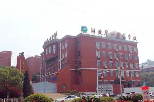 在湖北华一寄宿学校上学的感受