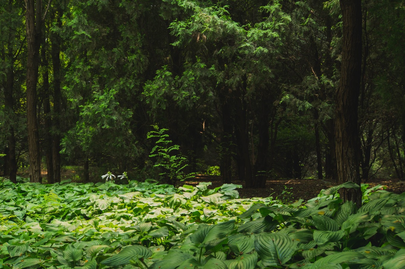 “新北京”的半壁江山！每个游客都要去的鸟巢，你真的会玩么？