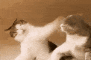 IT报表开发者必看：别加班了，快用这个神器提高报表开发效率