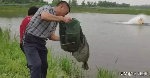 小龙虾养殖户致富有出路,每亩多赚8000元!新模式颠覆传统养殖