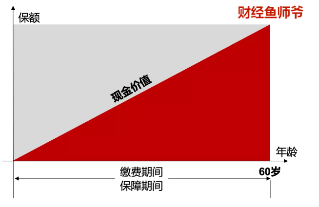 寿险包括,寿险包括哪些险种