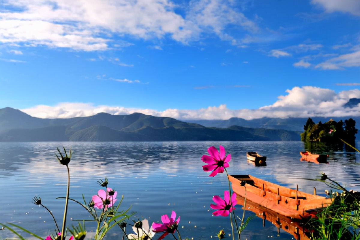 昆明理工大学津桥学院官网（恭喜）