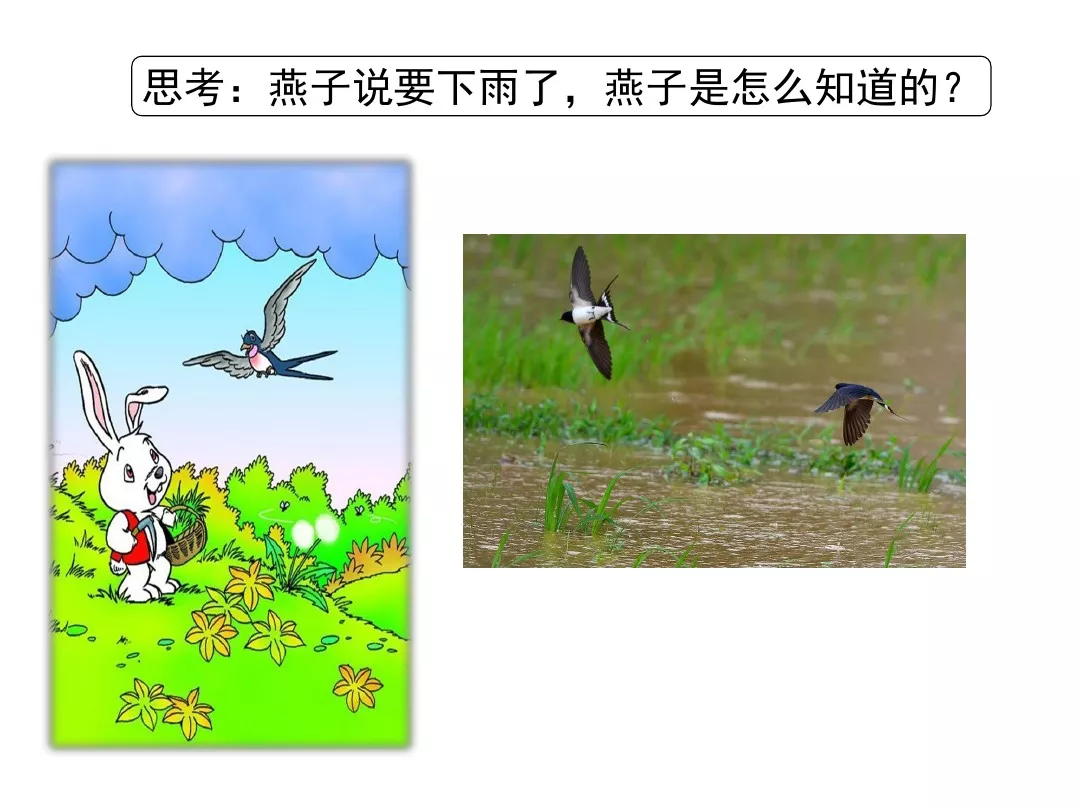部编版一年级语文下册14课《要下雨了》知识点+图文解读+课堂练习
