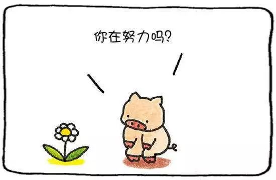 「英语角」那些年，我们的校园习语