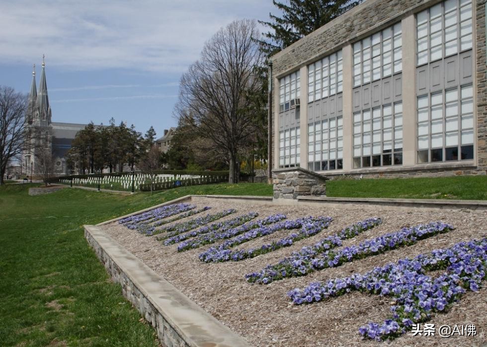 美国毕业生收入最高的100所大学