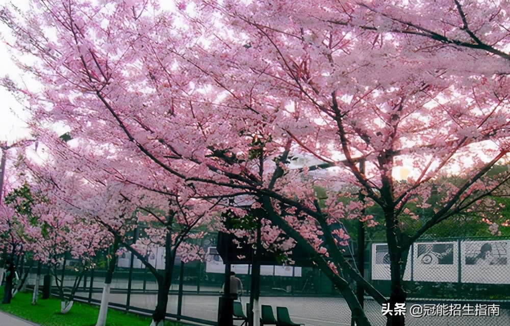 成都记算计学校（成都计算机专业职校排名）