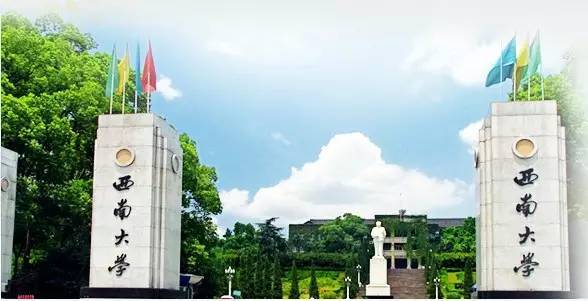 西南大学学科教学各专业考研情况介绍，包含333教育综合考研真题