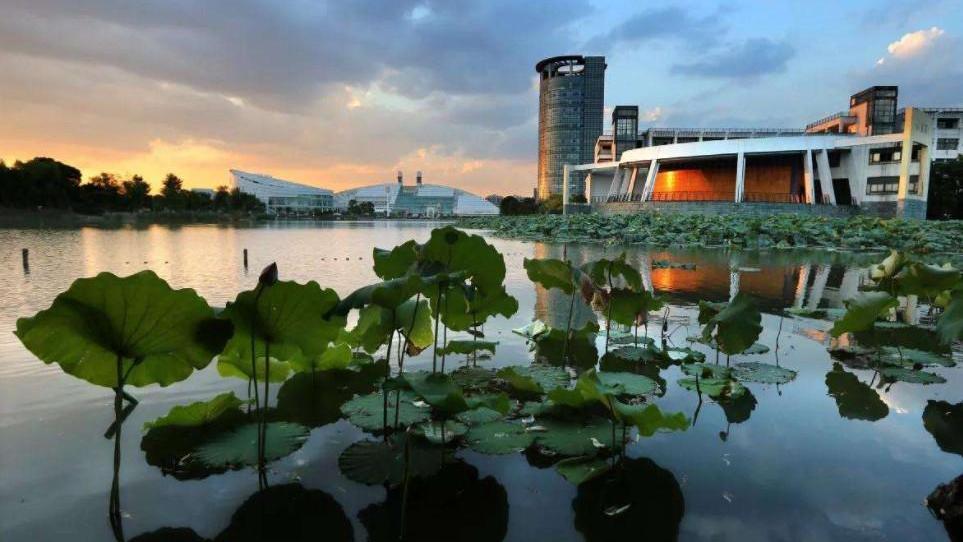 杭州该所大学，具有多门A类学科，国内知名，学生却感就业苦难