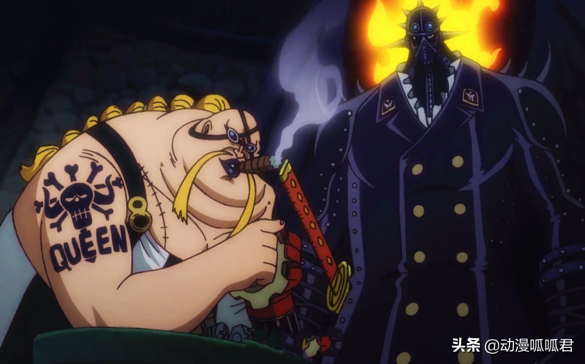 king简介(海贼王:king的身世揭晓,憎恨天龙人,有可能会加入路飞阵营)