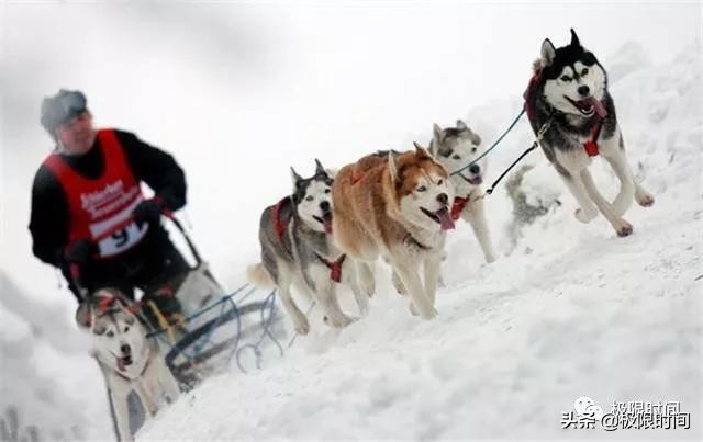 2015年雪橇世界杯游戏(你玩过雪橇吗？玩命的那种……)