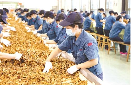 “中国烟草”大量招人，年薪可高达6位数，3类考生可优先录取