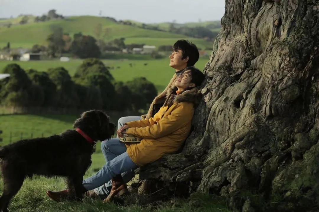 源于冯小刚和战友兼助理张述的一个约定——因为冯小刚和张述夫妇很早