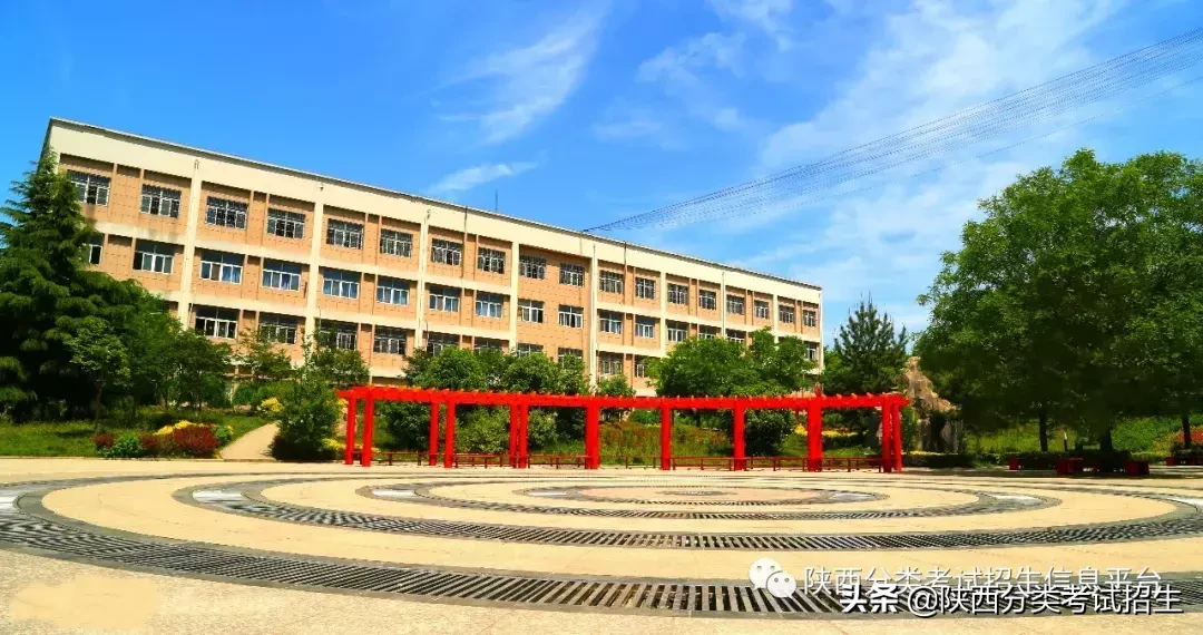 【国家公办】陕西青年职业学院2019年分类考试招生简章及院校介绍
