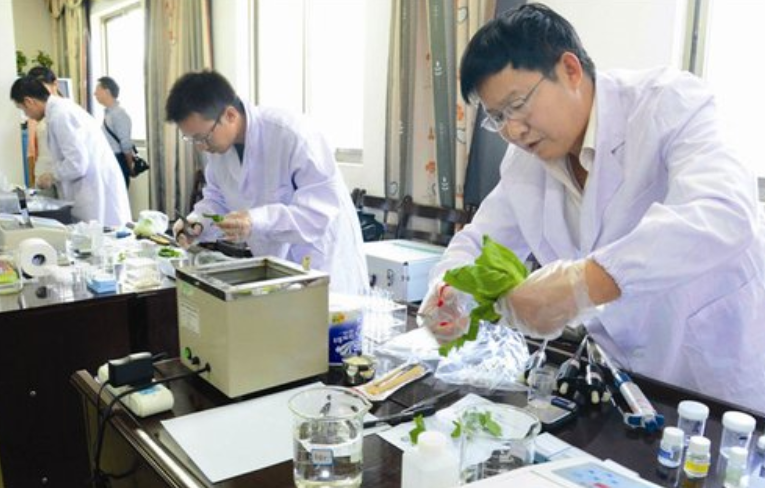 ​河北将迎来一所985高校，坐落于小县城，当地考生：捡到宝了