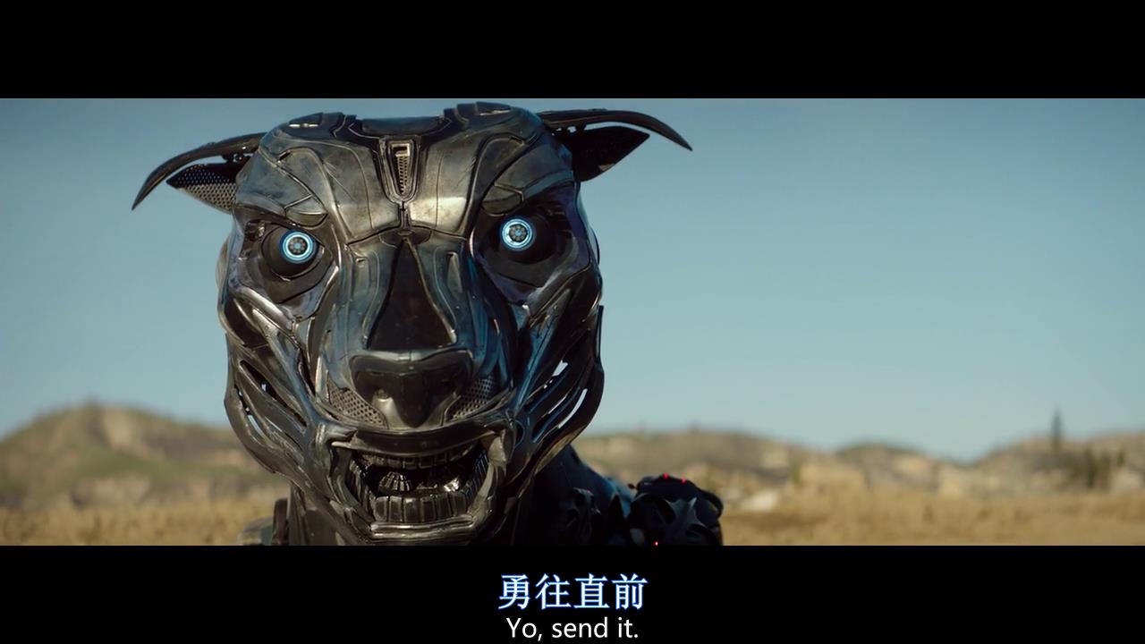《机器猛犬》猛的不是犬而是黑科技和电影态度