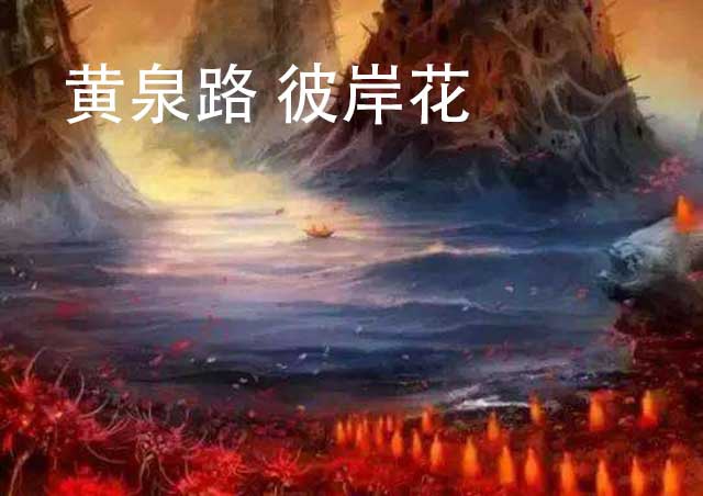 鬼门关黄泉路上彼岸花