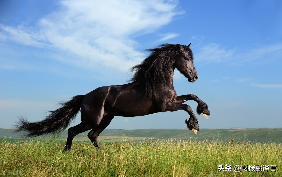 国内最大的变频器供应商,为新能车提供电机核心部件,业绩暴涨275%
