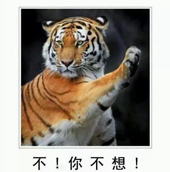 虎鞭太短,真能提高性功能吗?